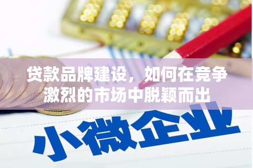 龙泉驿贷款品牌建设，如何在竞争激烈的市场中脱颖而出