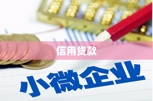 龙泉驿信用贷款
