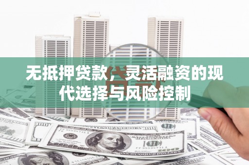 龙泉驿无抵押贷款，灵活融资的现代选择与风险控制