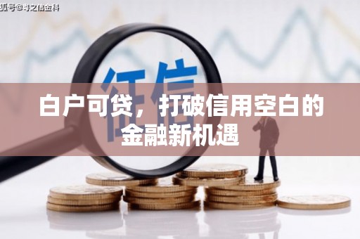 龙泉驿白户可贷，打破信用空白的金融新机遇