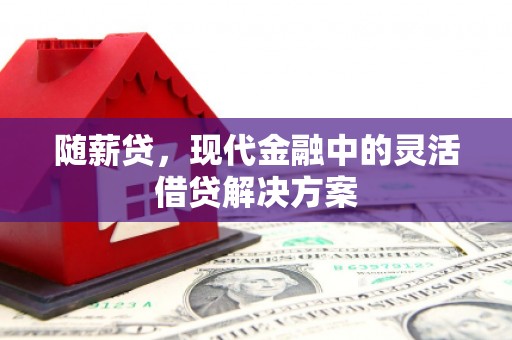 龙泉驿随薪贷，现代金融中的灵活借贷解决方案