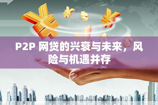 龙泉驿P2P 网贷的兴衰与未来，风险与机遇并存