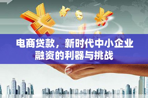龙泉驿电商贷款，新时代中小企业融资的利器与挑战