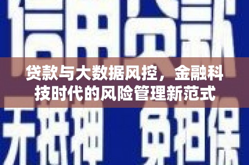 龙泉驿贷款与大数据风控，金融科技时代的风险管理新范式