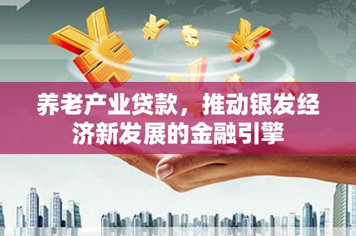 龙泉驿养老产业贷款，推动银发经济新发展的金融引擎