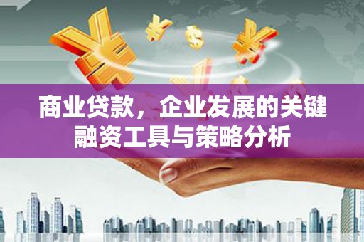 龙泉驿商业贷款，企业发展的关键融资工具与策略分析