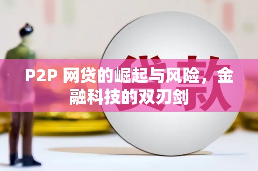 龙泉驿P2P 网贷的崛起与风险，金融科技的双刃剑