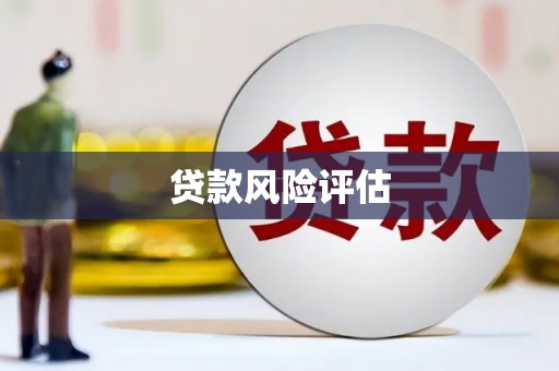 龙泉驿贷款风险评估