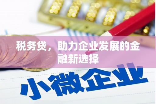 龙泉驿税务贷，助力企业发展的金融新选择