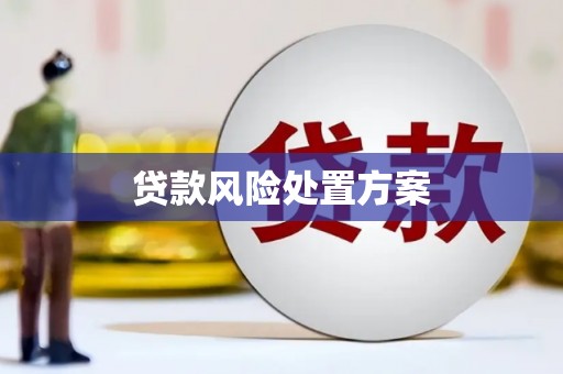 龙泉驿贷款风险处置方案