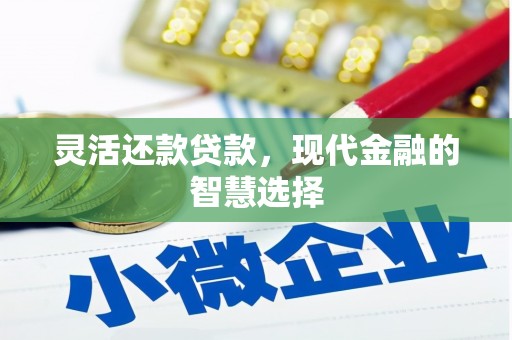 龙泉驿灵活还款贷款，现代金融的智慧选择
