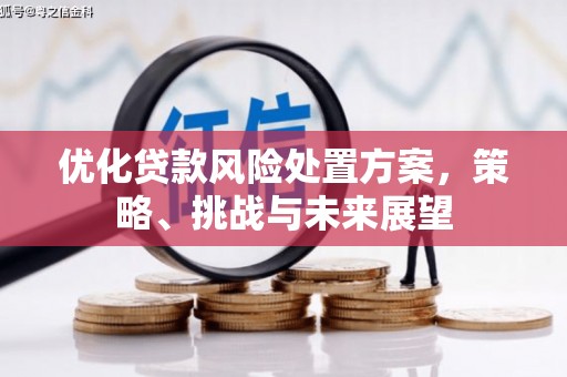龙泉驿优化贷款风险处置方案，策略、挑战与未来展望