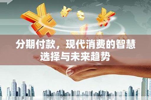 龙泉驿分期付款，现代消费的智慧选择与未来趋势