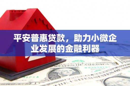 龙泉驿平安普惠贷款，助力小微企业发展的金融利器