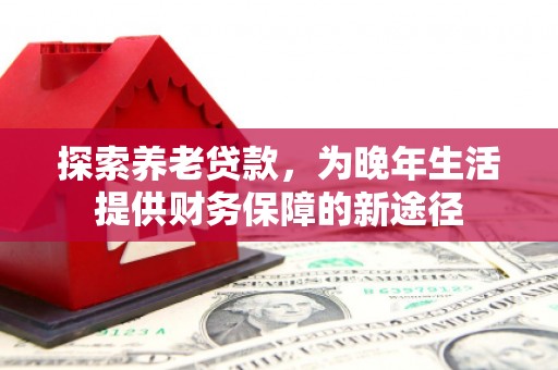 龙泉驿探索养老贷款，为晚年生活提供财务保障的新途径