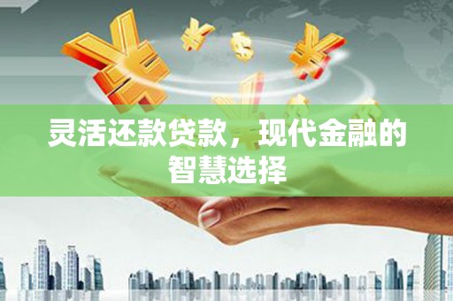 龙泉驿灵活还款贷款，现代金融的智慧选择