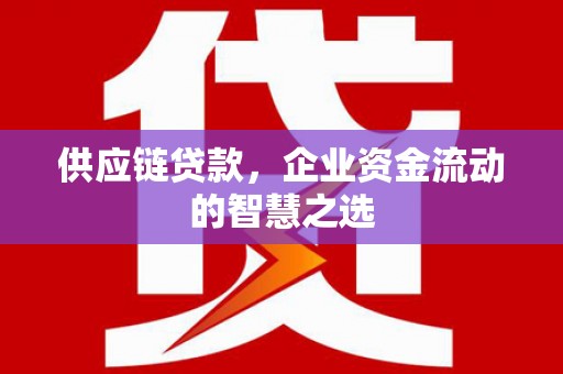龙泉驿供应链贷款，企业资金流动的智慧之选