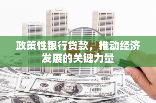 龙泉驿政策性银行贷款，推动经济发展的关键力量