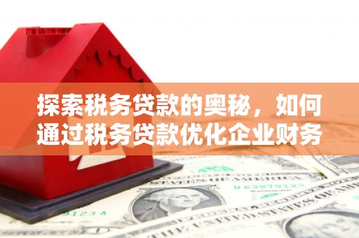 龙泉驿探索税务贷款的奥秘，如何通过税务贷款优化企业财务