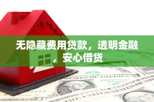 龙泉驿无隐藏费用贷款，透明金融，安心借贷
