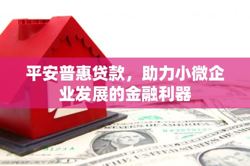 龙泉驿平安普惠贷款，助力小微企业发展的金融利器