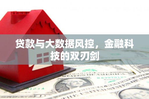 龙泉驿贷款与大数据风控，金融科技的双刃剑