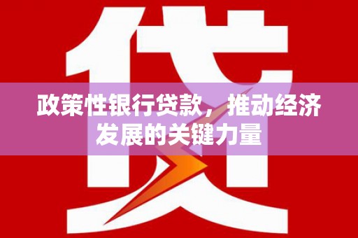 龙泉驿政策性银行贷款，推动经济发展的关键力量