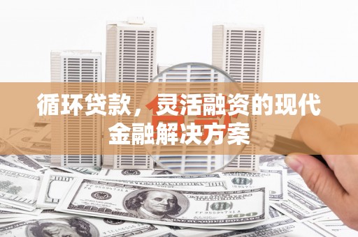 龙泉驿循环贷款，灵活融资的现代金融解决方案