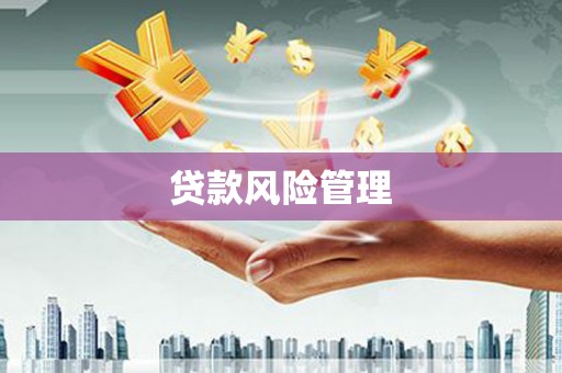 龙泉驿贷款风险管理