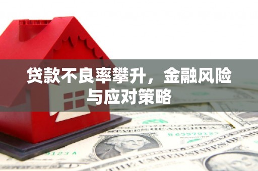 龙泉驿贷款不良率攀升，金融风险与应对策略