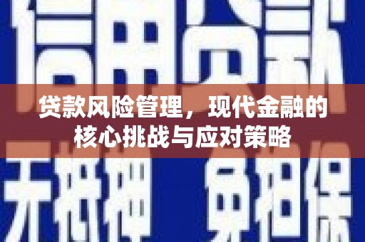 龙泉驿贷款风险管理，现代金融的核心挑战与应对策略