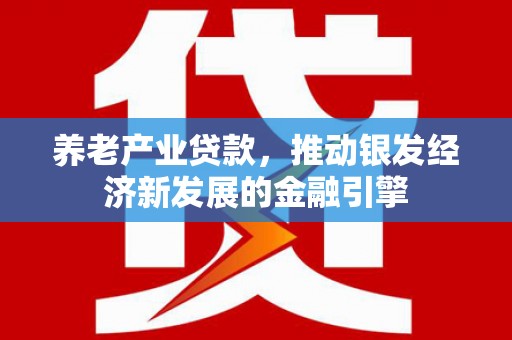 龙泉驿养老产业贷款，推动银发经济新发展的金融引擎