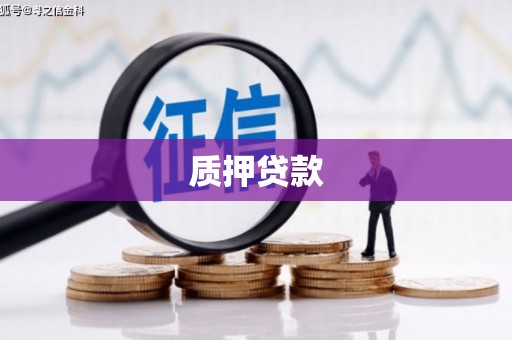 龙泉驿质押贷款