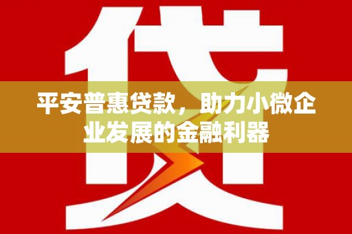 龙泉驿平安普惠贷款，助力小微企业发展的金融利器