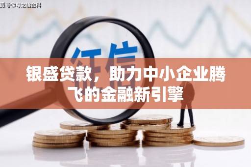 龙泉驿银盛贷款，助力中小企业腾飞的金融新引擎