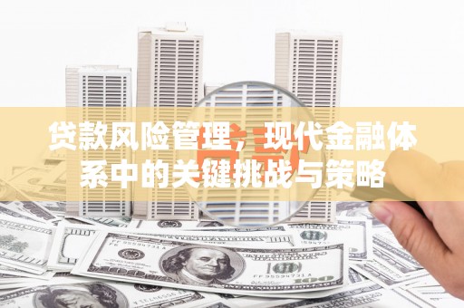 龙泉驿贷款风险管理，现代金融体系中的关键挑战与策略