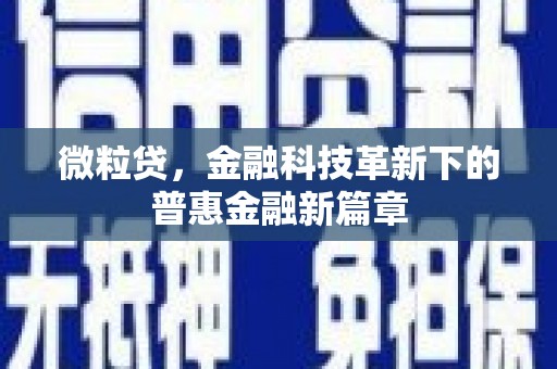龙泉驿微粒贷，金融科技革新下的普惠金融新篇章