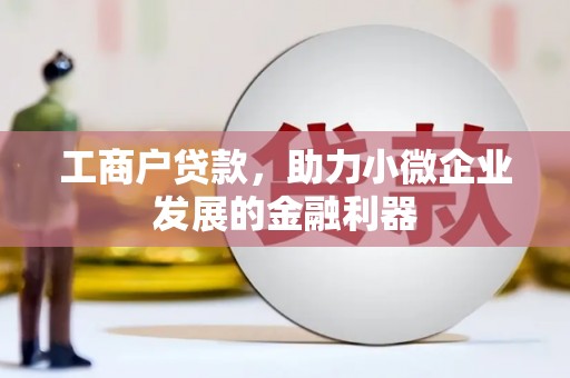 龙泉驿工商户贷款，助力小微企业发展的金融利器