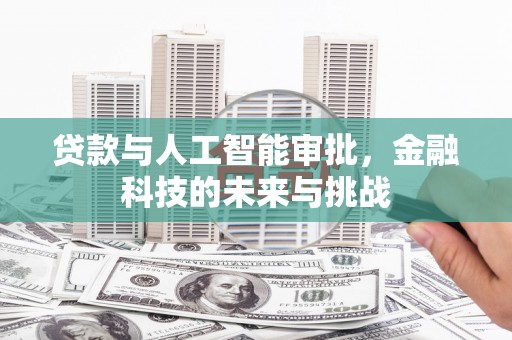 龙泉驿贷款与人工智能审批，金融科技的未来与挑战