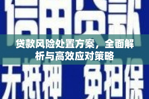龙泉驿贷款风险处置方案，全面解析与高效应对策略