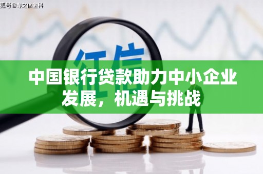 龙泉驿中国银行贷款助力中小企业发展，机遇与挑战