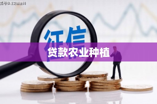 龙泉驿贷款农业种植