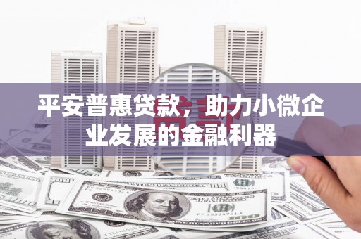 龙泉驿平安普惠贷款，助力小微企业发展的金融利器