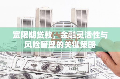 龙泉驿宽限期贷款，金融灵活性与风险管理的关键策略