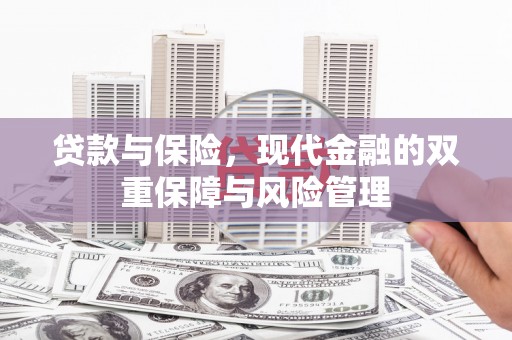 龙泉驿贷款与保险，现代金融的双重保障与风险管理