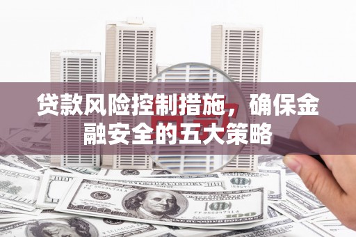 龙泉驿贷款风险控制措施，确保金融安全的五大策略