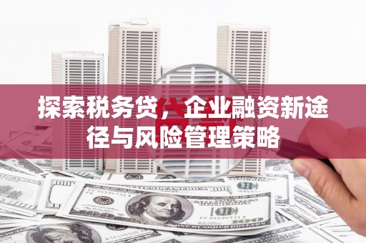 龙泉驿探索税务贷，企业融资新途径与风险管理策略