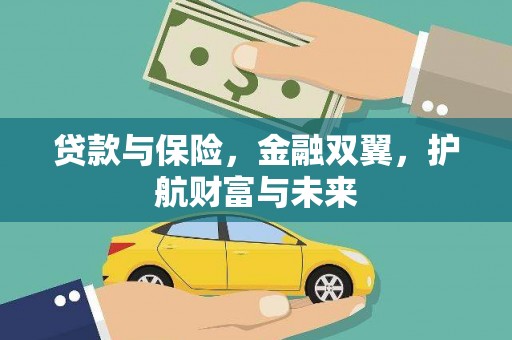 龙泉驿贷款与保险，金融双翼，护航财富与未来