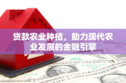 龙泉驿贷款农业种植，助力现代农业发展的金融引擎