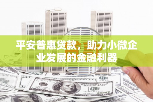 龙泉驿平安普惠贷款，助力小微企业发展的金融利器
